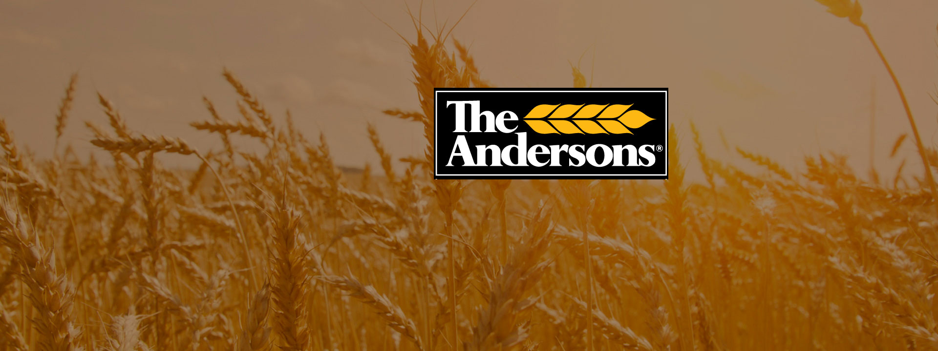 The Andersons Inc